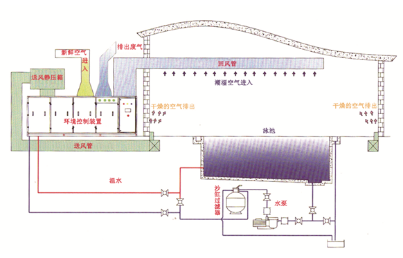 瀚宇水處理：如果做好這些，奧運泳池怎么會“綠”?